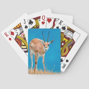 Jeu De Cartes Portrait de femelle de gazelle de Grant (Gazella G
