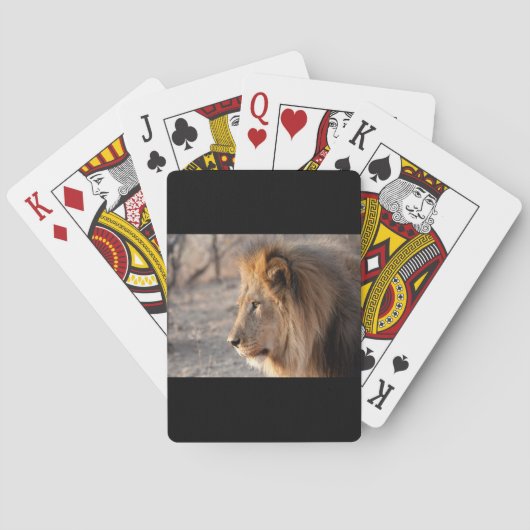 Jeu De Cartes Portrait de Lion (dos)
