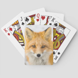 Jeu De Cartes Portrait de renard roux