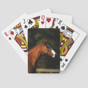 Jeu De Cartes Portrait de tête de cheval pur-sang