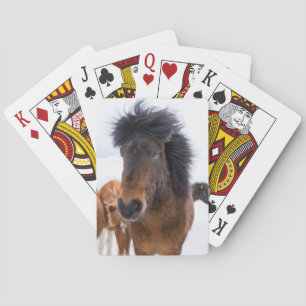 Jeu De Cartes Portrait drôle de cheval islandais