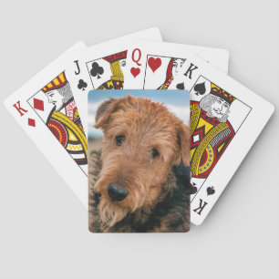 Jeu De Cartes Portrait d'un Airedale Terrier