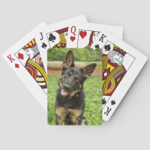 Jeu De Cartes Portrait d'un berger allemand