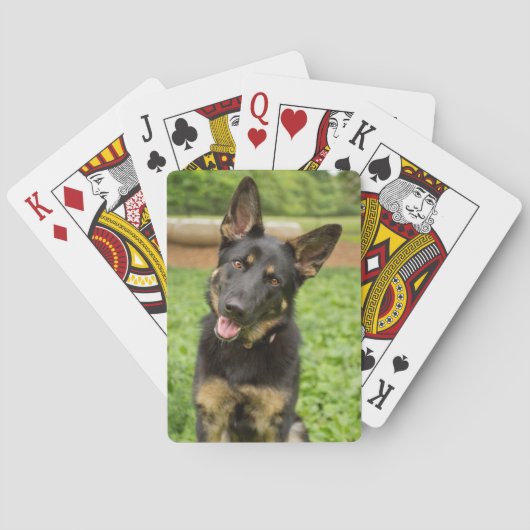 Jeu De Cartes Portrait d'un berger allemand (dos)