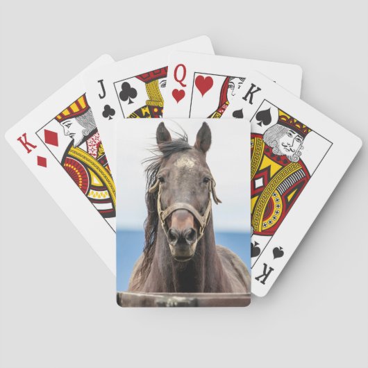 Jeu De Cartes Portrait d'un cheval (dos)