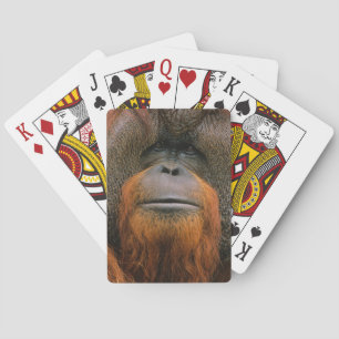Jeu De Cartes Portrait d'un orang-outan mâle, Géorgie, États-Uni