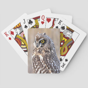 Jeu De Cartes Portrait étonnant d'un hibou à court terme