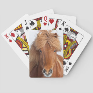 Jeu De Cartes Portrait islandais Brown de cheval