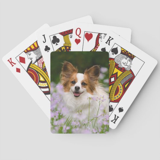 Jeu De Cartes Portrait romantique mignon de chien de Papillon, (dos)