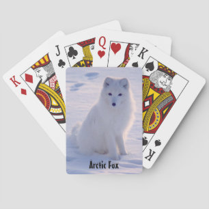 Jeu De Cartes Pose d'hiver de Fox blanc de l'Alaska arctique