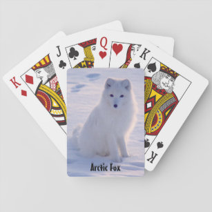 Jeu De Cartes Pose d'hiver de Fox blanc de l'Alaska arctique