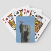 Jeu De Cartes Poser le pic sur un pôle photo (dos)