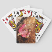 JEU DE CARTES POULET CUIT (dos)
