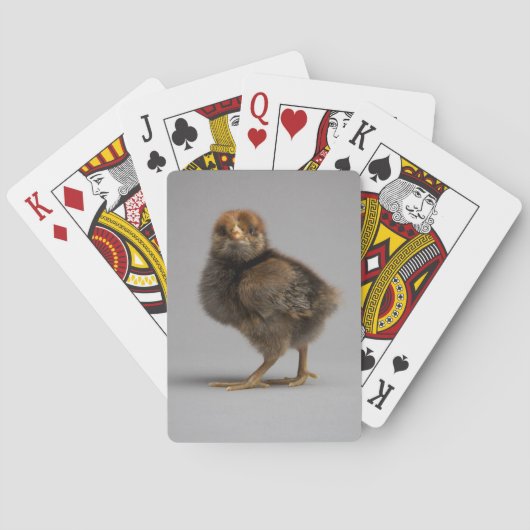 Jeu De Cartes Poulet de bébé (dos)