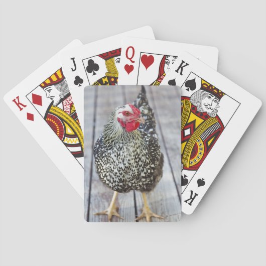 Jeu De Cartes Poulet sur le pont en bois, Silver Laced Wyandotte (dos)