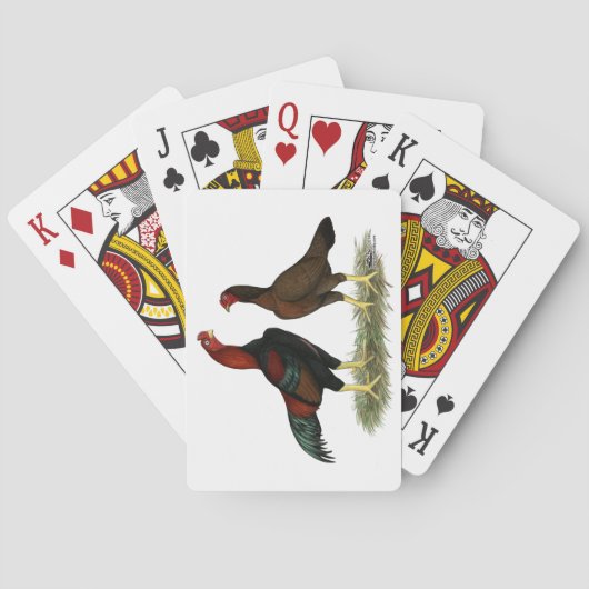 Jeu De Cartes Poulets rouges noirs Aseel (dos)