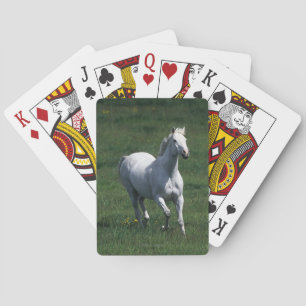 Jeu De Cartes Pouliche pur-sang