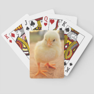Jeu De Cartes Poussins de bébé