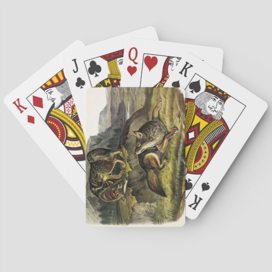 Jeu De Cartes Prairie Wolf (dos)