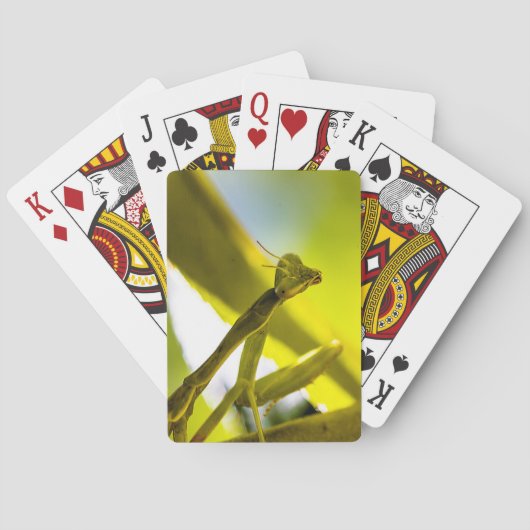 Jeu De Cartes Prier Mantis Jouer aux cartes (dos)