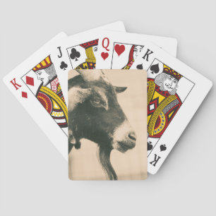 Jeu De Cartes Profil de chèvre