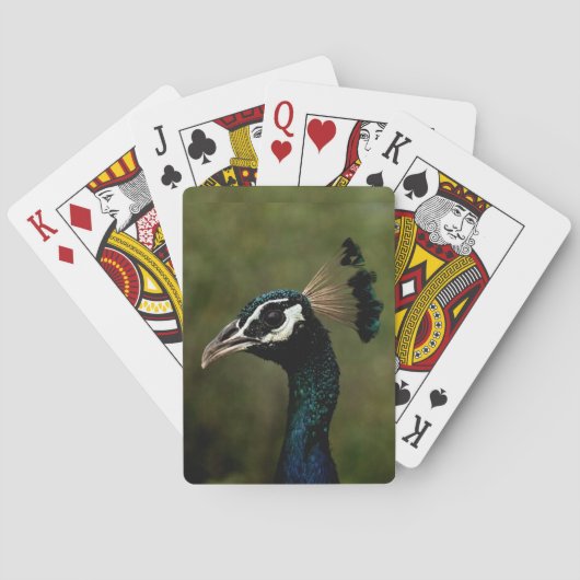Jeu De Cartes Profil de Peacock (dos)