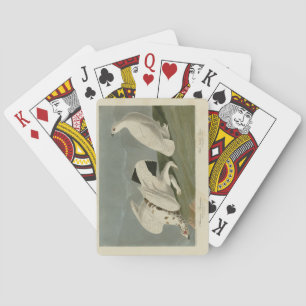 Jeu De Cartes Ptarmigan à queue blanche - Audubon's Birds