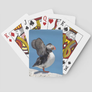 Jeu De Cartes Puffin de l'Atlantique à Machias, ME