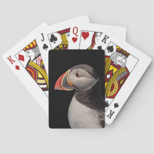 Jeu De Cartes Puffin de l'Atlantique au Machias, Maine