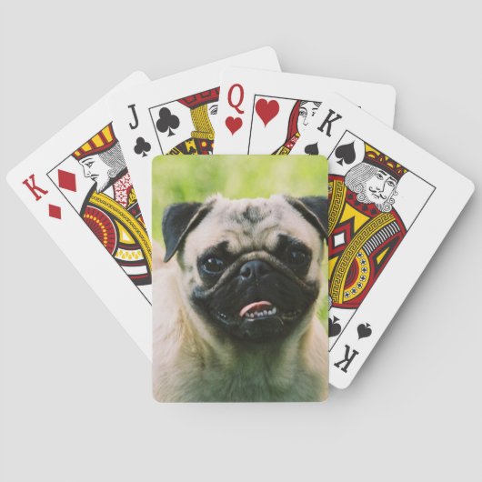Jeu De Cartes pug-13 (dos)