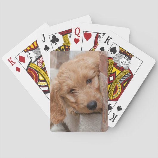 Jeu De Cartes Puppy Pékin (dos)