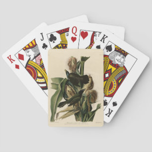 Jeu De Cartes Purple Grakle (Grackle) Audubon's Birds of America