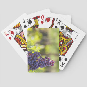 Jeu De Cartes Purple grapevine