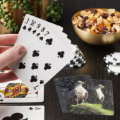 Jeu De Cartes Pygargue à queue blanche perché sur falaise rocheu (In Situ)