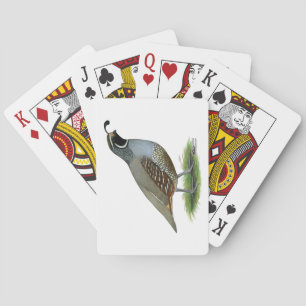 Jeu De Cartes Quail de la Californie