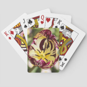 Jeu De Cartes Quand Tu Étais Une Tulipe