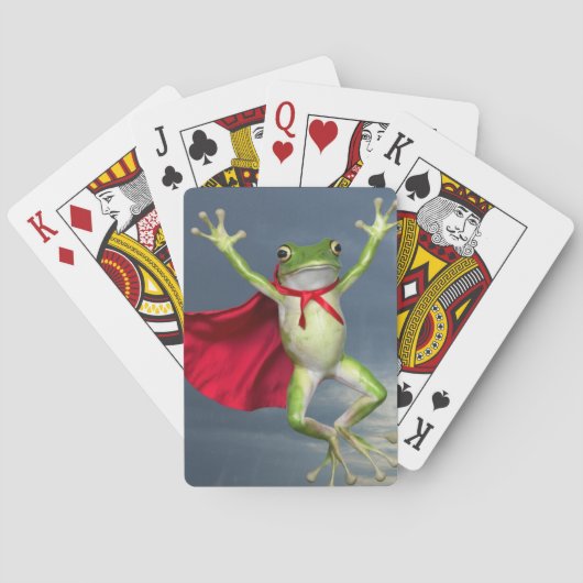 Jeu De Cartes Que diriez-vous de "Twilight Flight : The Caped Fr (dos)