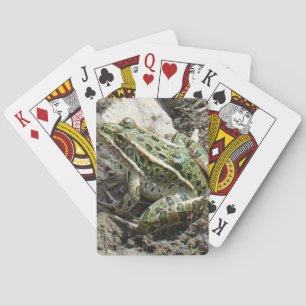 Jeu De Cartes R3 Grenouille léopard