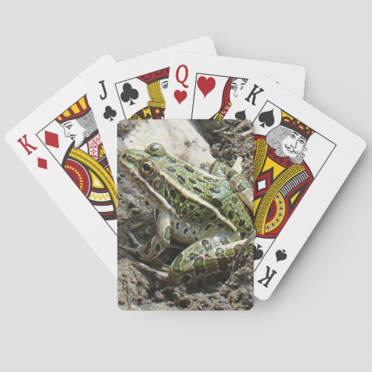 Jeu De Cartes R3 Grenouille léopard (dos)