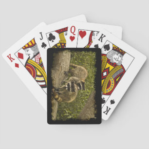 Jeu De Cartes Raccoon Famille Black Edge