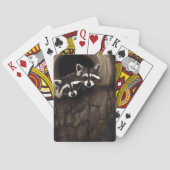 Jeu De Cartes Raccoons Brown Cute Tree (dos)