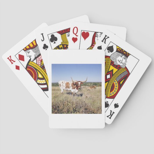 Jeu De Cartes Race Texas Longhorn (photo) (dos)
