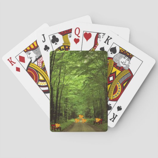 Jeu De Cartes Racoon Playing Card Deck (dos)