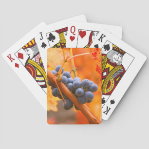 Jeu De Cartes Raisin de vigne dans le vignoble