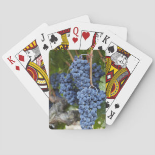 Jeu De Cartes Raisins de vin rouge sur la vigne
