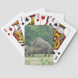 Jeu De Cartes Randy Rhinos Jouer aux cartes