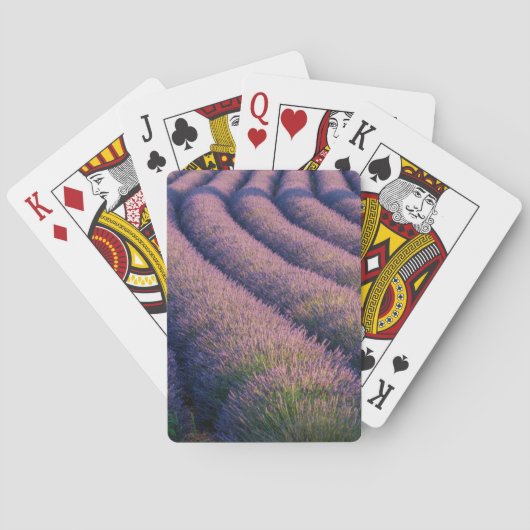Jeu De Cartes Rangées de lavande en Provence (dos)
