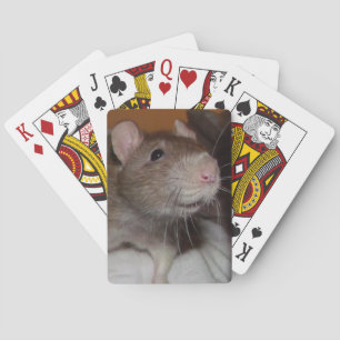 Jeu De Cartes rat de rire jouant aux cartes