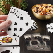 Jeu De Cartes Raton laveur (In Situ)