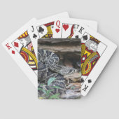 Jeu De Cartes Rattlesnake (dos)